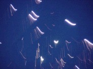 The aliens attack