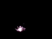 A small sample of the extravaganza