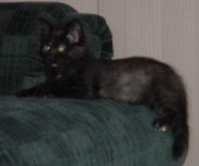 This is the other new arrival Lilly