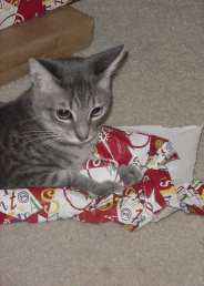 Even junior got into the act.